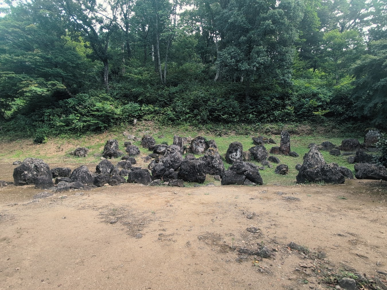 三つの時間を旅する福井—戦国城下町、恐竜、そして禅